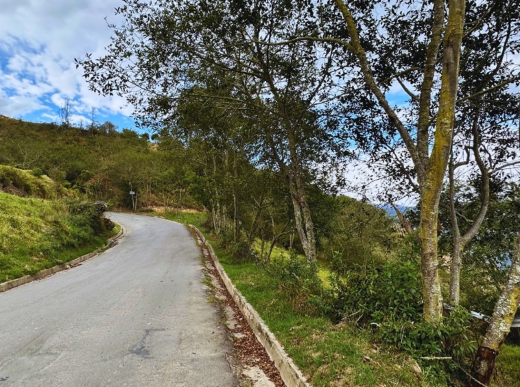 TERRENO EN VENTA GUACHAPALA