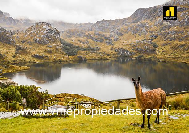 INVERSIÓN INMOBILIARIA EN CUENCA